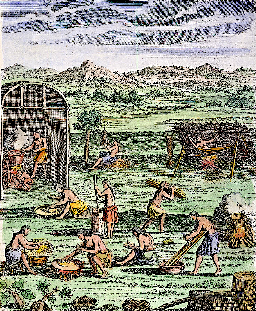 An iroquois village, engraving of 1664