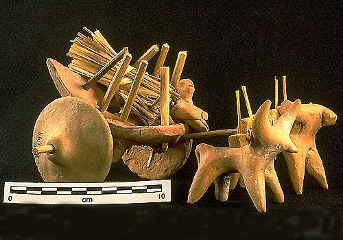 Cart drawn by a water buffalo from Harappa. Photo by Sharri R. Clark and Laura J. Miller.