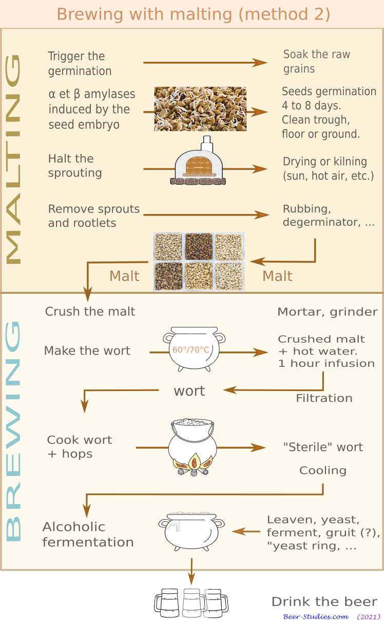 Brewing by malting (method no 2)