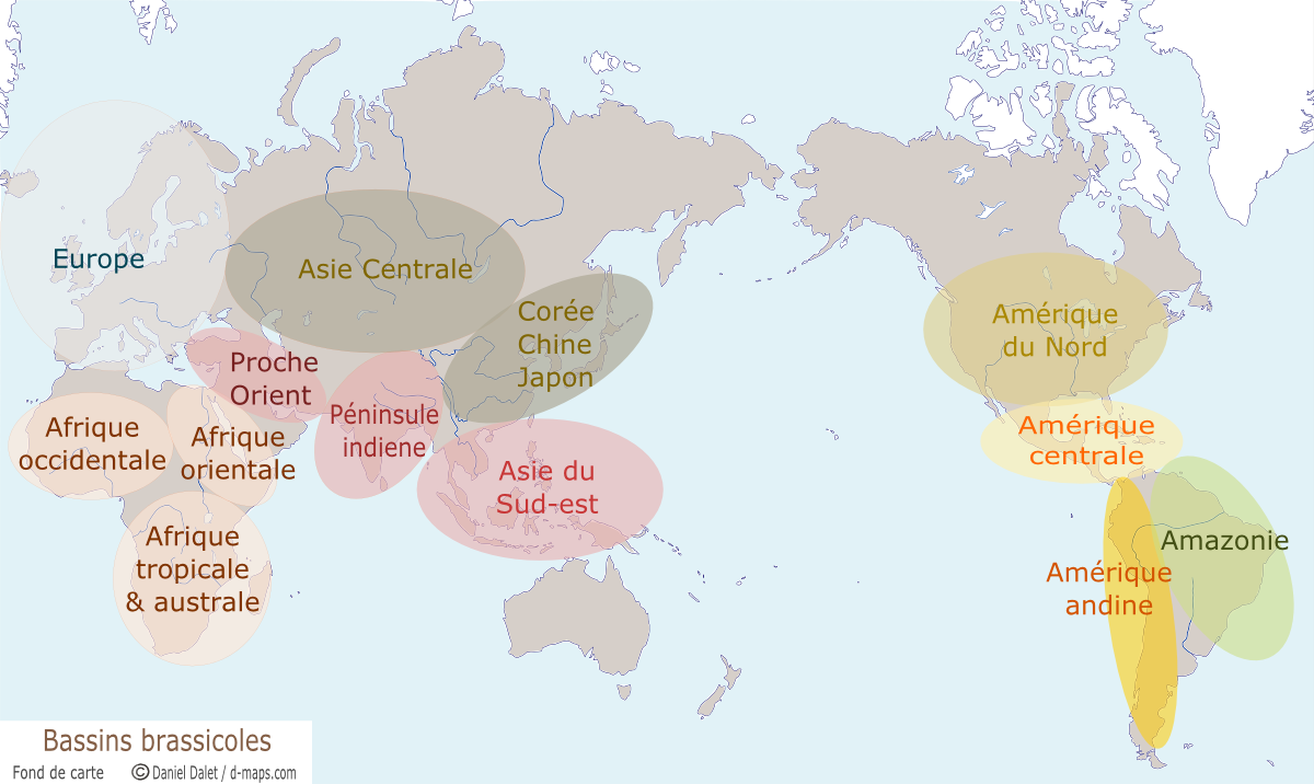 Zones globales de brassage dans le monde