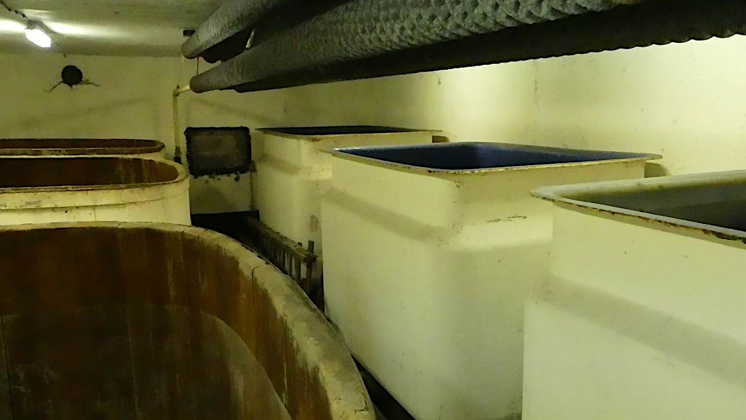 Amiel brewery. The former fermentation vats as seen from above (wooden on the left, food-grade fibro-cement on the right)