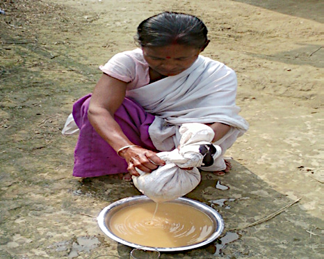 India, Assam. Ahom woman filtering a fermented the xa pan mash to get beer