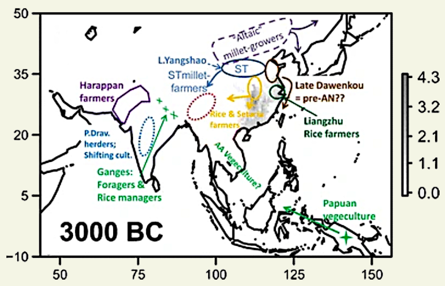 Origines et diffusion du riz et de sa culture vers 3000 BC